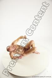 Fighting reference poses of Peter